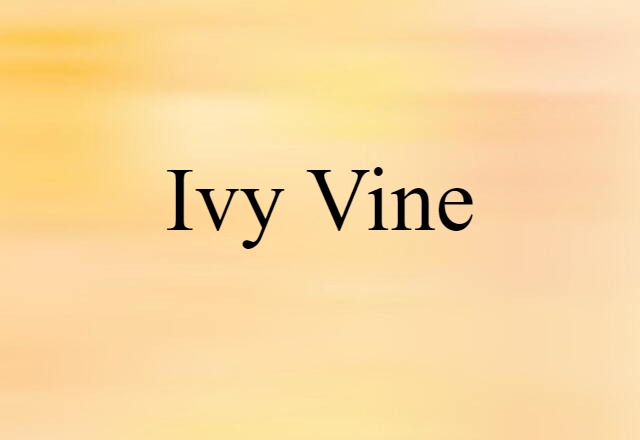 ivy vine