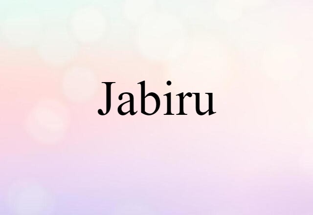 jabiru