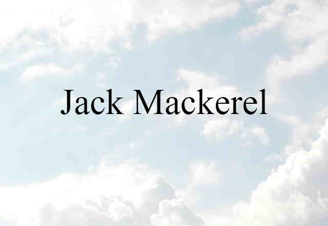 Jack Mackerel (noun) Definition, Meaning & Examples