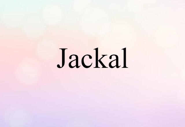 jackal