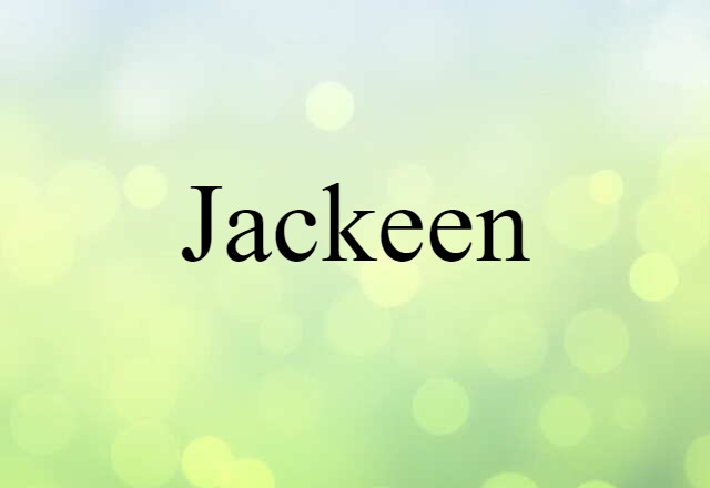 Jackeen (noun) Definition, Meaning & Examples