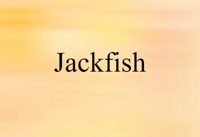 Jackfish (noun) Definition, Meaning & Examples