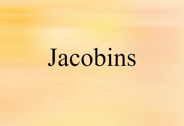 Jacobins (noun) Definition, Meaning & Examples