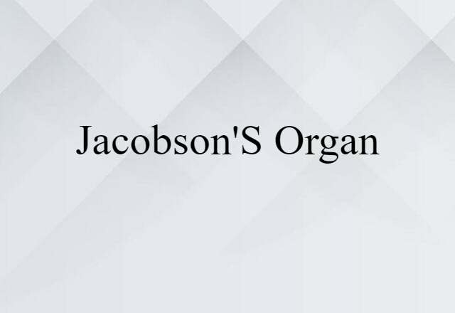 Jacobson's Organ (noun) Definition, Meaning & Examples