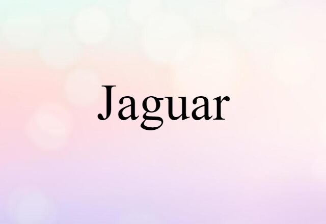 Jaguar (noun) Definition, Meaning & Examples