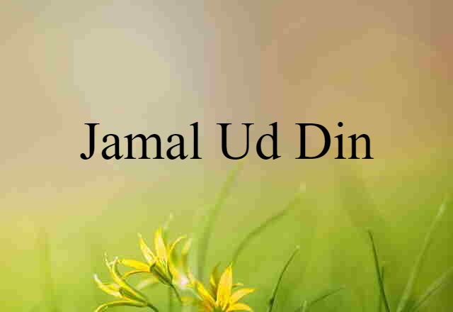 Jamal Ud Din (noun) Definition, Meaning & Examples