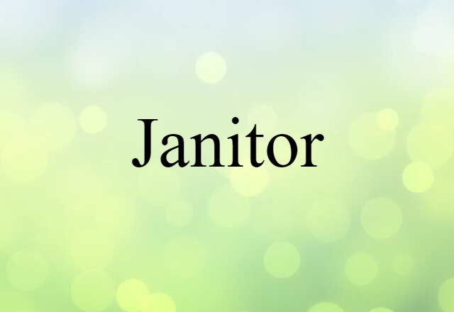 Janitor (noun) Definition, Meaning & Examples