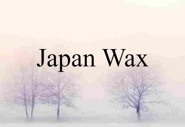 Japan Wax (noun) Definition, Meaning & Examples