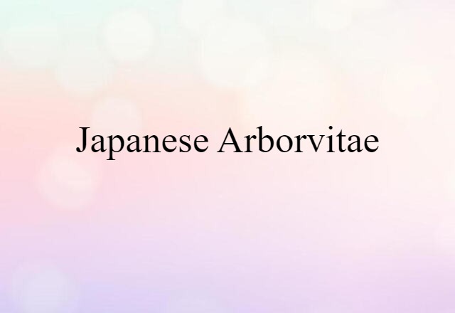 Japanese arborvitae