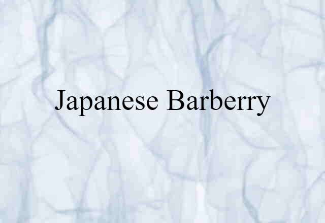 Japanese Barberry (noun) Definition, Meaning & Examples