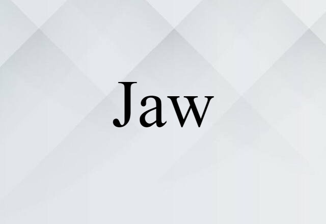 jaw