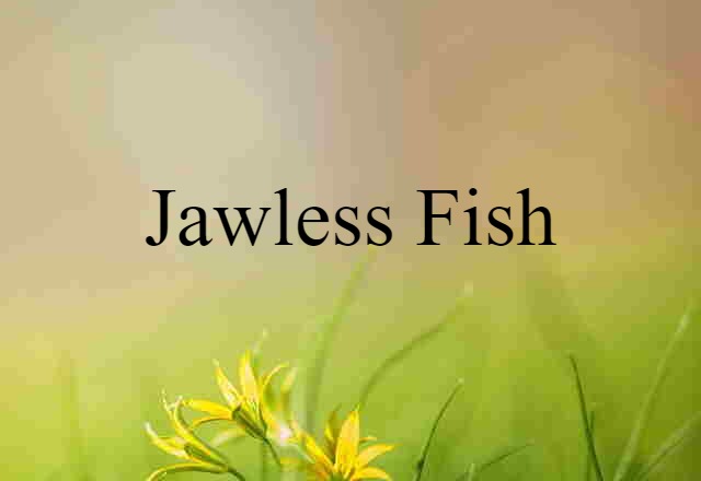 jawless fish