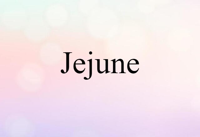 Jejune (noun) Definition, Meaning & Examples