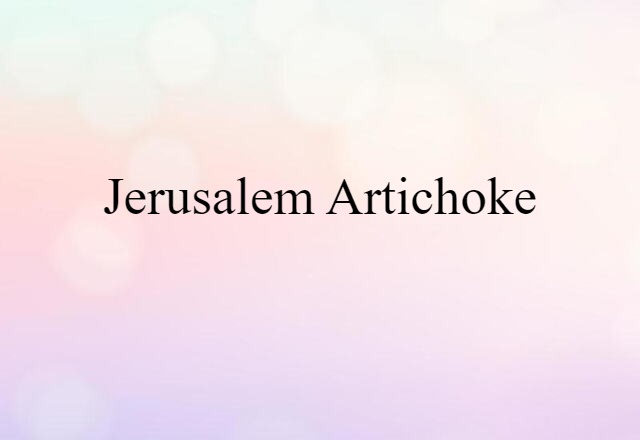 Jerusalem Artichoke (noun) Definition, Meaning & Examples