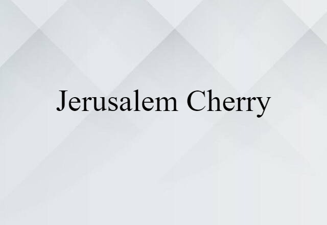 Jerusalem cherry