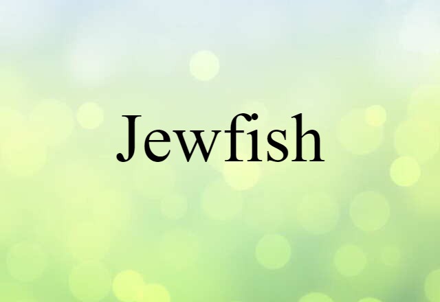 jewfish