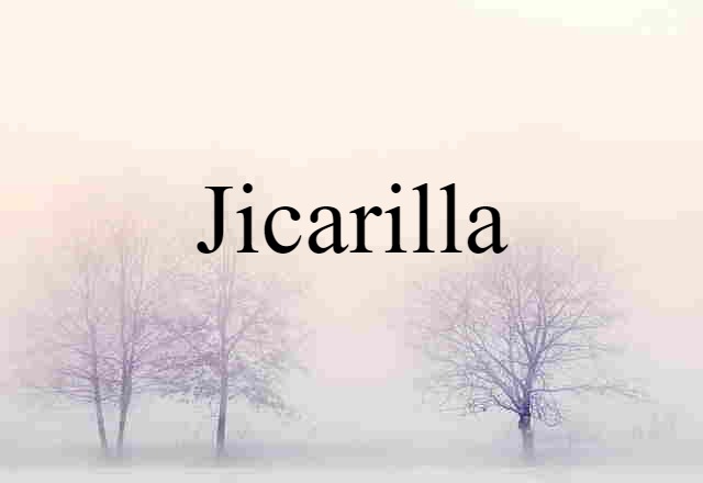 Jicarilla (noun) Definition, Meaning & Examples