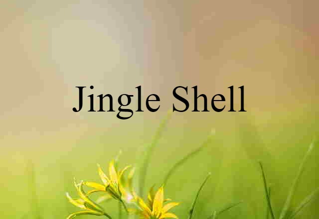 Jingle Shell (noun) Definition, Meaning & Examples