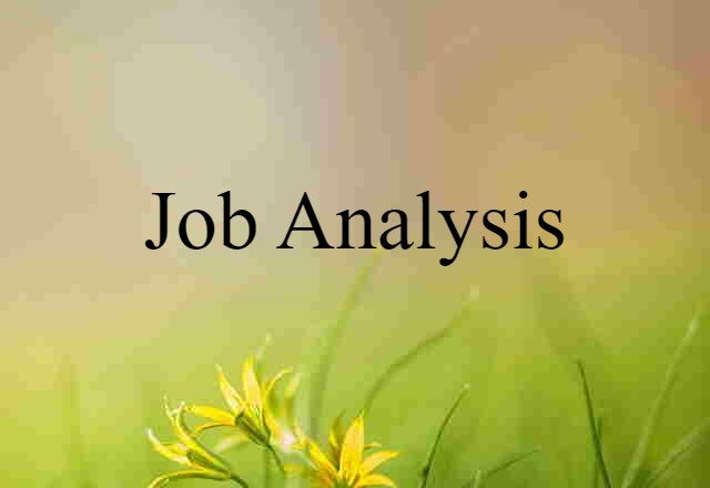 Job Analysis (noun) Definition, Meaning & Examples