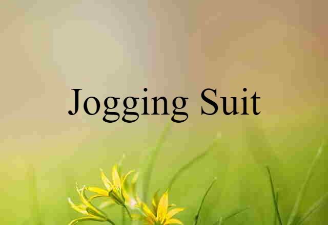 Jogging Suit (noun) Definition, Meaning & Examples