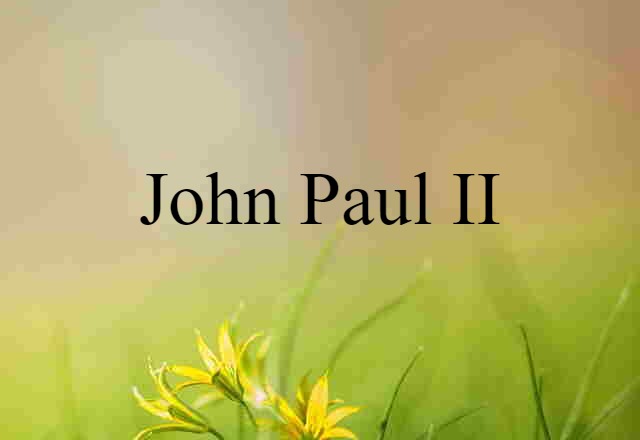 John Paul II (noun) Definition, Meaning & Examples