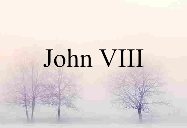 John VIII (noun) Definition, Meaning & Examples