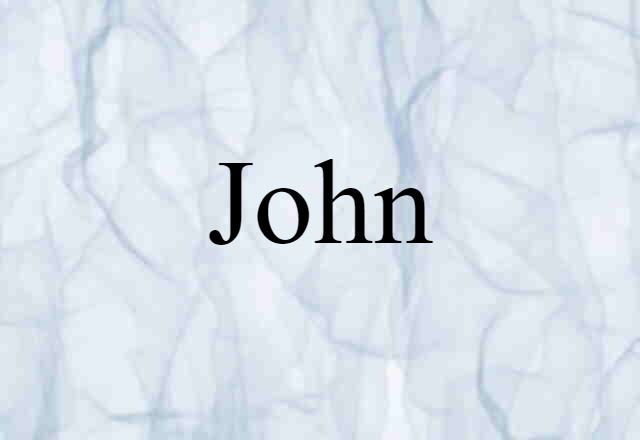 John (noun) Definition, Meaning & Examples