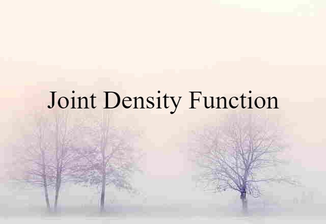 Joint Density Function (noun) Definition, Meaning & Examples