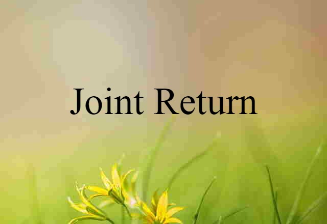 joint return