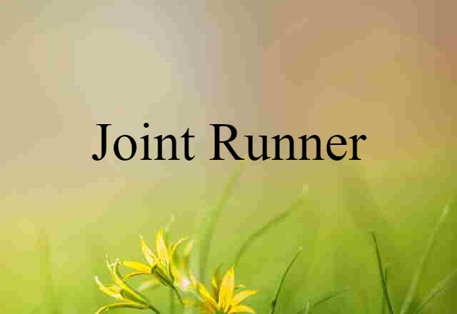 joint runner