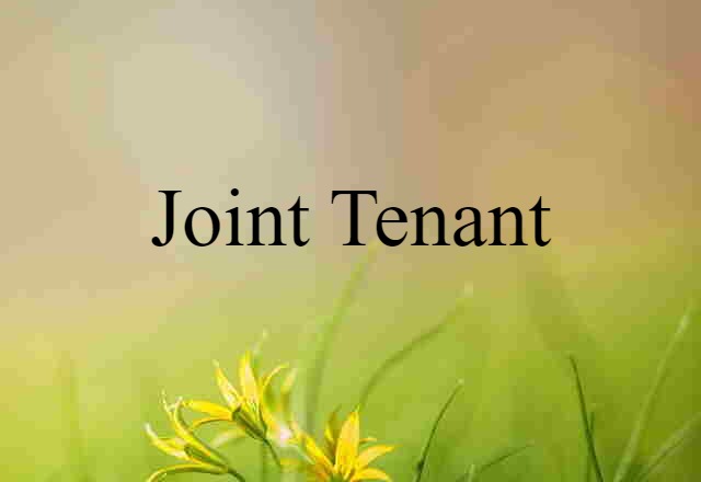 joint tenant