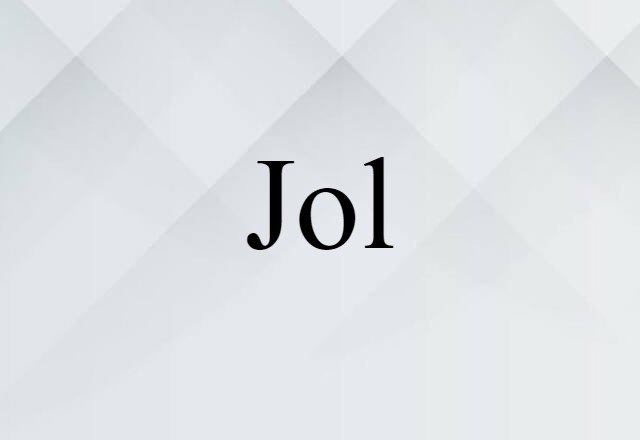 Jol (noun) Definition, Meaning & Examples