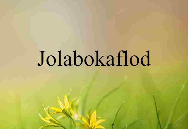 Jolabokaflod (noun) Definition, Meaning & Examples