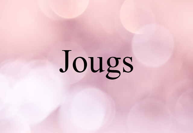 Jougs (noun) Definition, Meaning & Examples