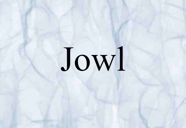 jowl