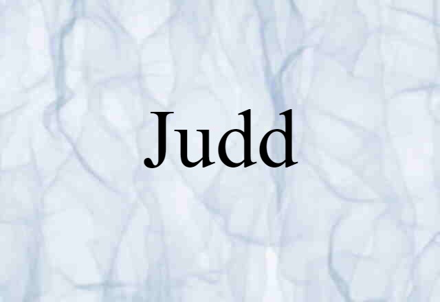 Judd (noun) Definition, Meaning & Examples