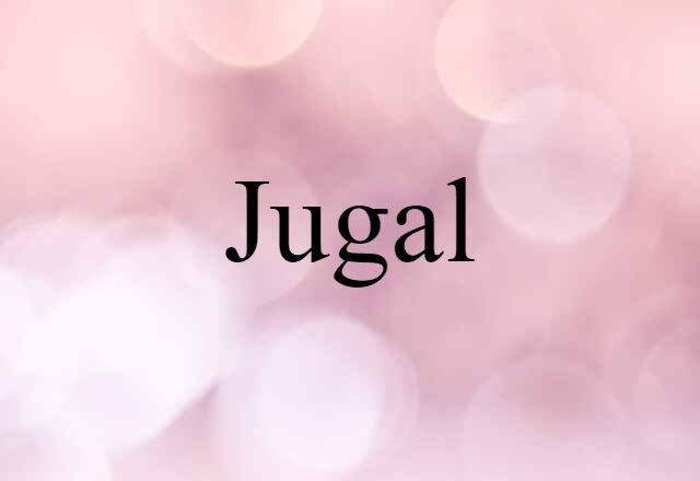 jugal