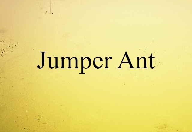 jumper ant