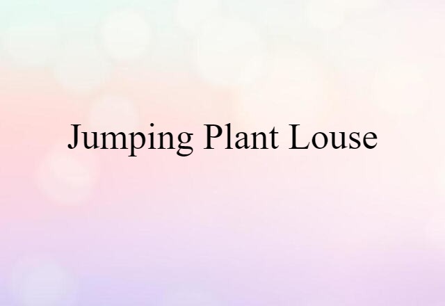 jumping plant louse