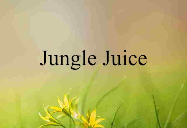 Jungle Juice (noun) Definition, Meaning & Examples