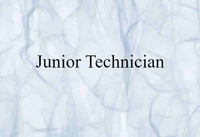 Junior Technician (noun) Definition, Meaning & Examples