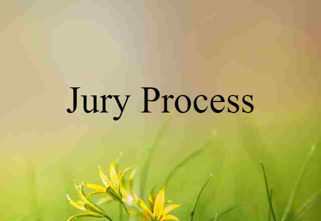 jury process