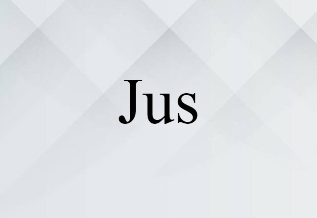 Jus (noun) Definition, Meaning & Examples