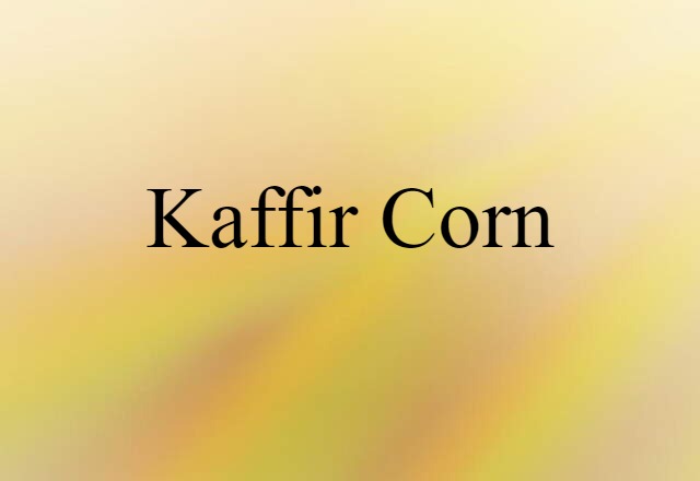 kaffir corn