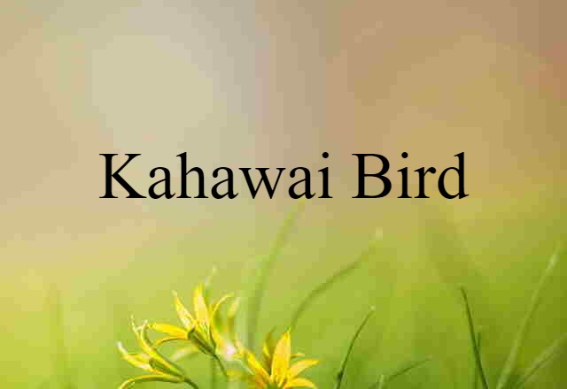 kahawai bird