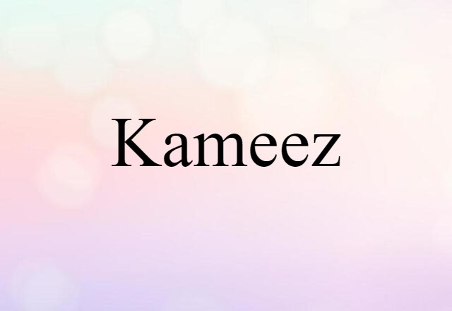 Kameez (noun) Definition, Meaning & Examples