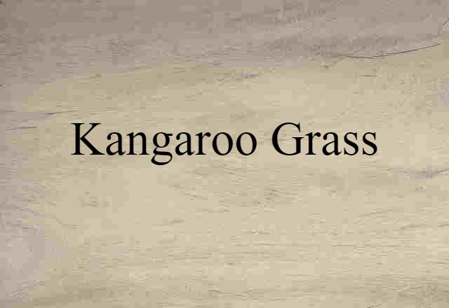 kangaroo grass