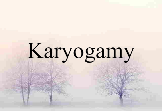 karyogamy