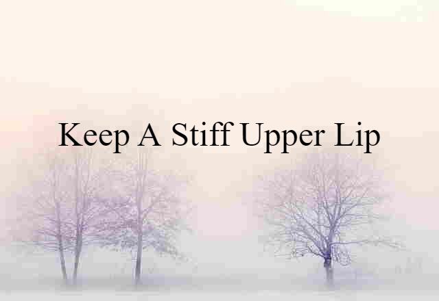 Keep A Stiff Upper Lip (noun) Definition, Meaning & Examples