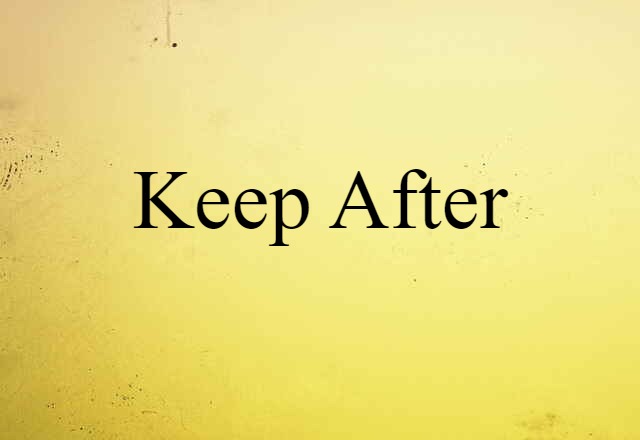 Keep After (noun) Definition, Meaning & Examples